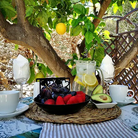 Nyaraló Tedy's Townhouse-margarita Gardens